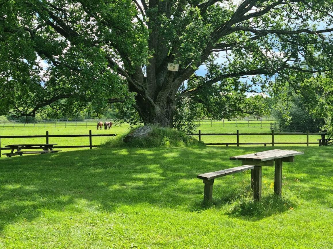Thottska Villan Stromsholm Extérieur photo